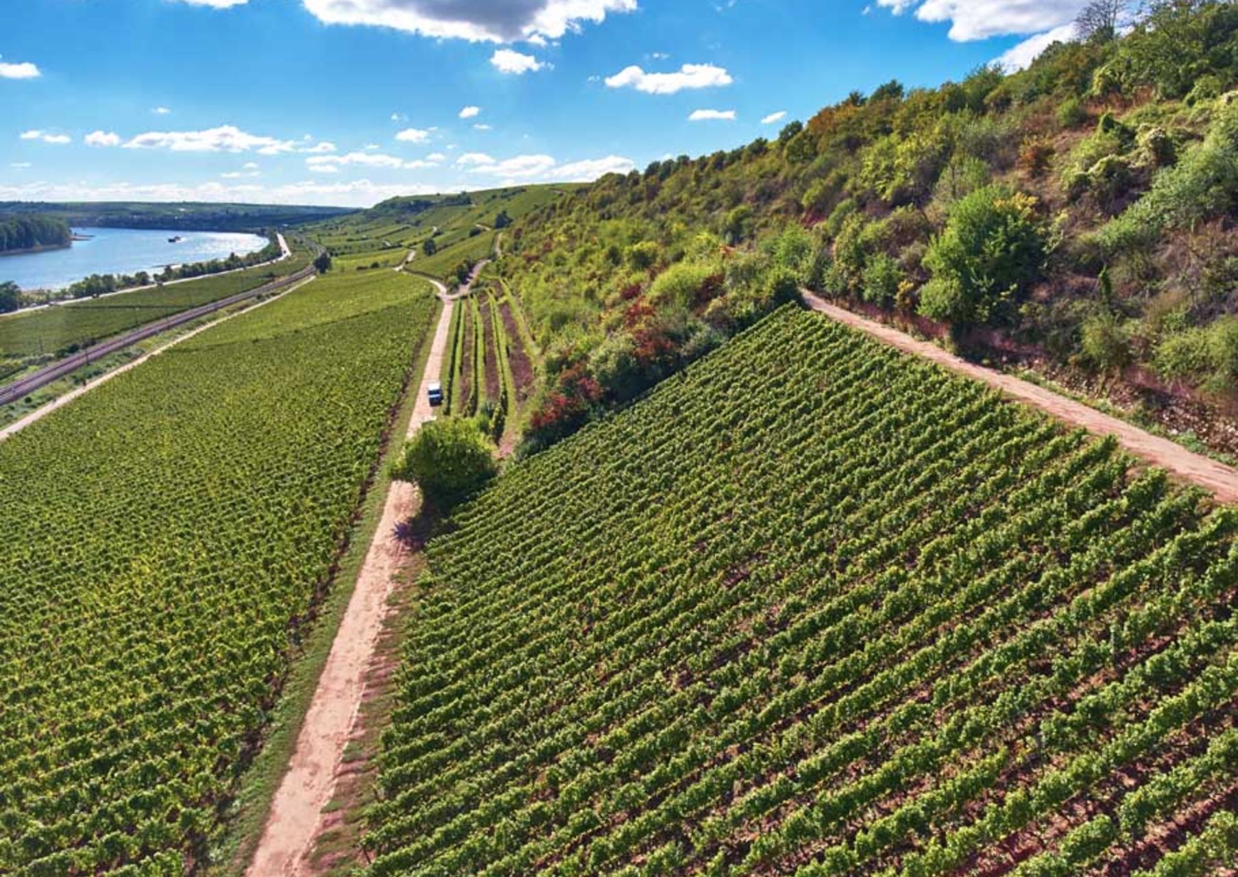 Der Weinberg Nackenheimer Rothenberg bei Sonnenschein und strahlendem Himmel aus der Vogelperspektive